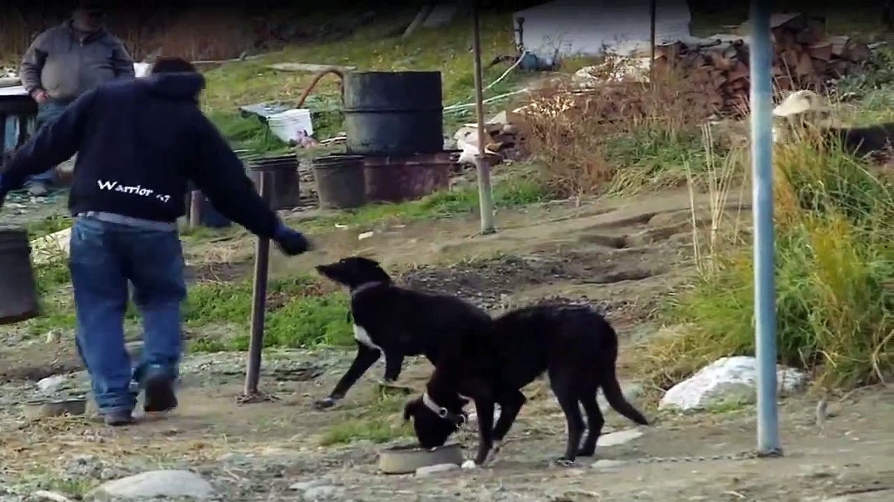 Yukon Men - Überleben in Alaska Staffel 3 Folge 7 HD Deutsch