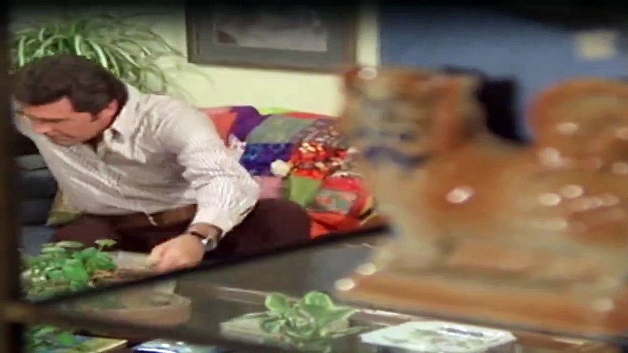 Detektiv Rockford Anruf genügt Staffel 3 Folge 15 HD Deutsch