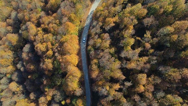 Batı Karadeniz ormanlarında sonbahar güzelliği