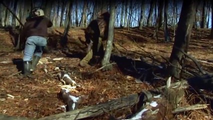 Die Monster-Jäger - Bestien auf der Spur Staffel 1 Folge 17 HD Deutsch