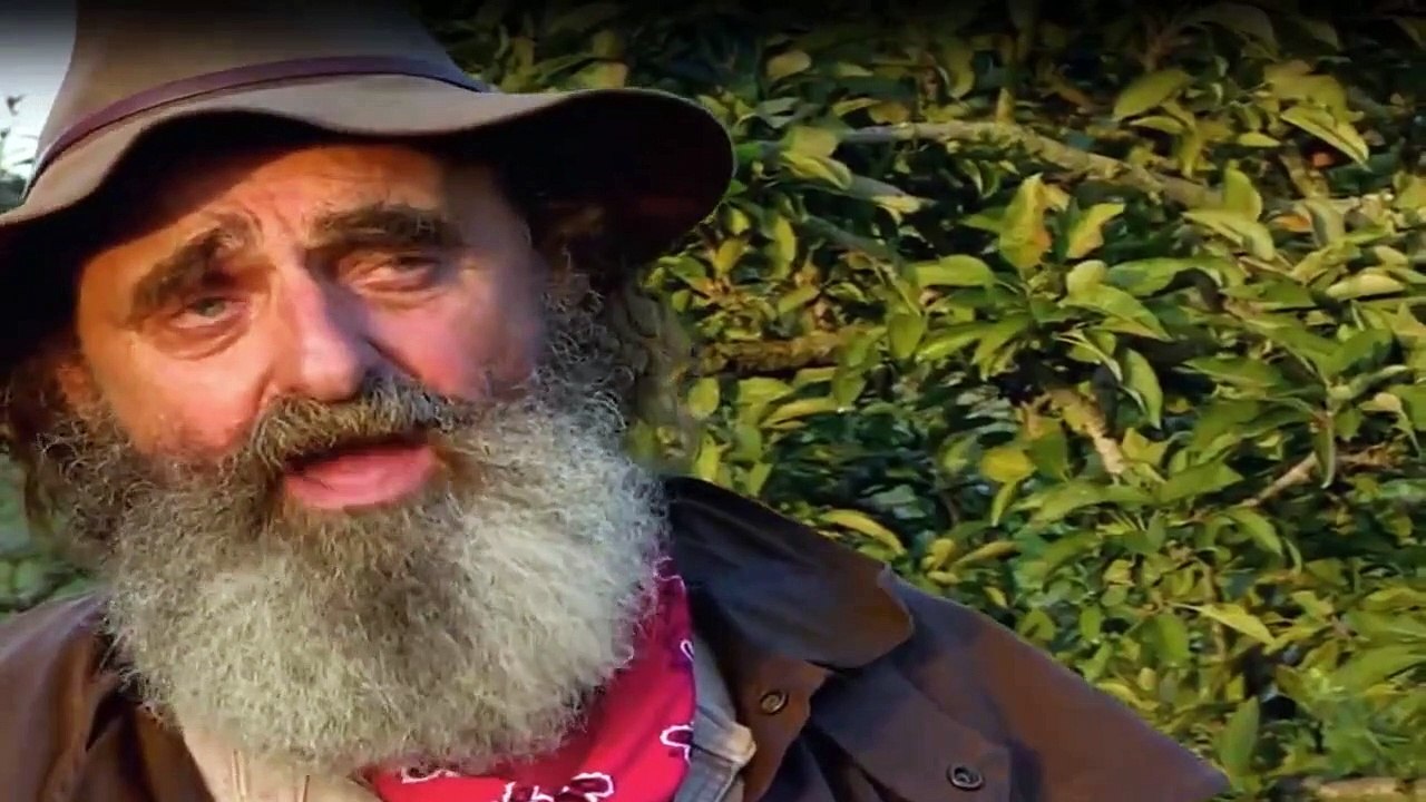 Die Monster-Jäger - Bestien auf der Spur Staffel 2 Folge 5 HD Deutsch