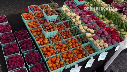 Aplikasi Ponsel Hubungkan Petani dan Pembeli Seluruh Dunia