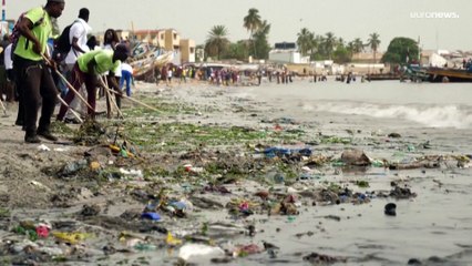 Descargar video: Popolazione: 8 miliardi sulla Terra, l'impatto sul cambiamento climatico