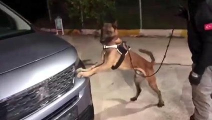 Durdurulan aracın her yerinden uyuşturucu çıktı