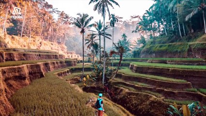 15 Ide Usaha Kreatif yang Bisa Anda Lakukan di Rumah