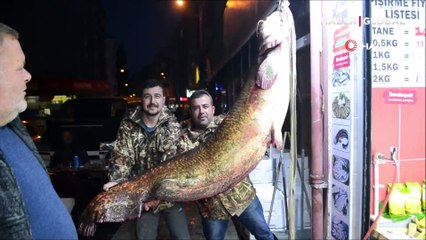 2 metrelik dev balık görenleri şoke etti