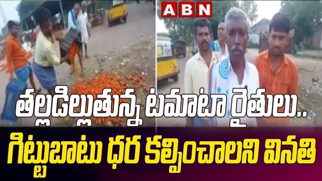 తల్లడిల్లుతున్న టమాటా రైతులు.. గిట్టుబాటు ధర కల్పించాలని వినతి || Tomato Farming || ABN Telugu