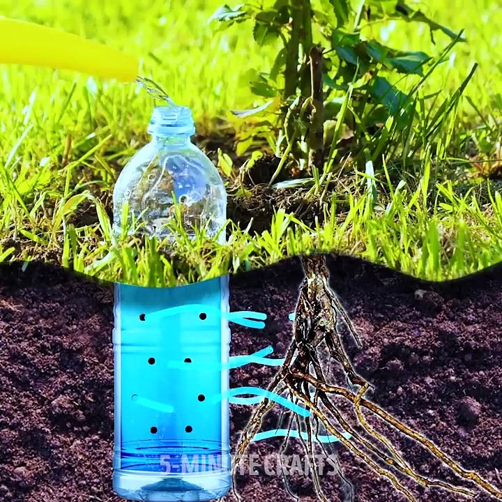 29 PLASTIC BOTTLE RECYCLING ideas to surprise your mind