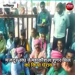 महाकौशल शुगर मिल ने 2 साल किया किसानों का भुगतान