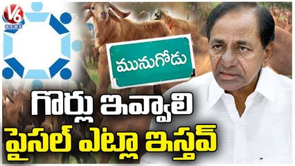 Sheep Distribution Scheme :Forum For Good Governance Writes Letter To NCDC | V6 News