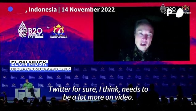Elon Musk hints at changes for both Twitter and Tesla in G20 appearance