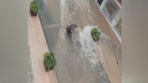 En Valencia siguen limpiando para recuperarse de las inundaciones del fin de semana