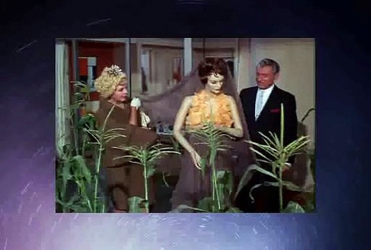 Green Acres S01 x 002 - Lisa's First Day on the Farm