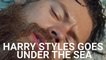 Harry Styles’ New Video Has Fans Poking Fun At His 'Little Mermaid' Audition
