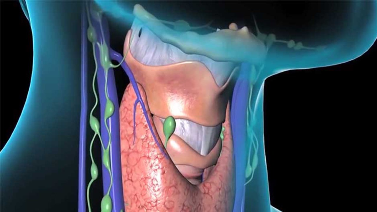 bd-alteraciones-de-tiroides-en-la-persona-adulta-mayor-141122