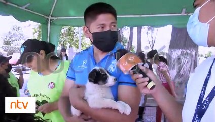 "Dame una oportunidad": 33 mascotas encontraron un hogar este fin de semana