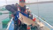 Fishers Flock to Penghu for Winter Fishing Season - TaiwanPlus News