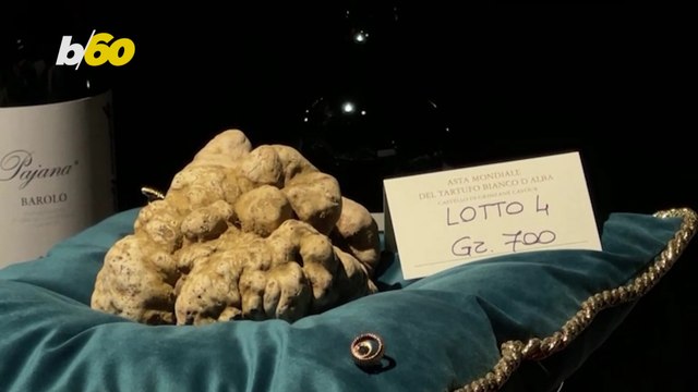 These Truffles Were Just Sold for Over $100,000