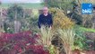 Roland Motte, jardinier : les graminées pour décorer tous types de jardin