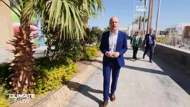 COP27: окно возможностей закрывается, но стабилизировать климат еще реально