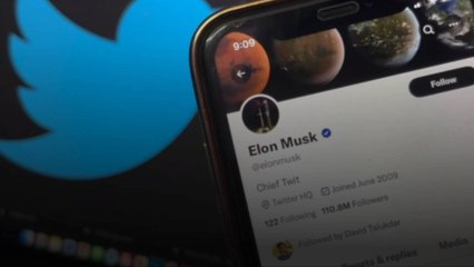 Twitter Cuts More Workers and Gets Rid of Free Lunches