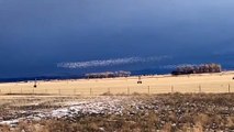 Snow Geese Migrating Over Montana