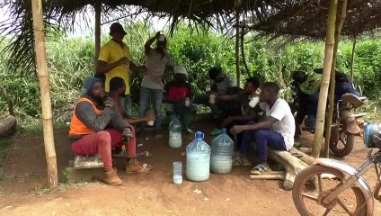 Cameroun: bientôt interdit, le "whisky en sachet" reste très prisé