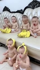 هل صيصان شو حلوين(480P)