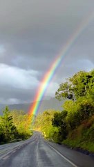 Surprised by Beautiful Rainbow