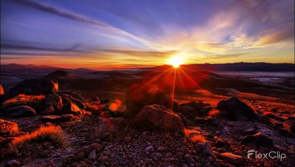 Amor Nocturno ‑ David Benyona 2022