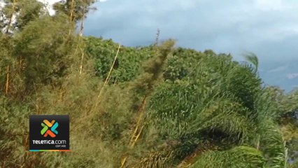 tn7-transicion-a-estacion-seca-141122