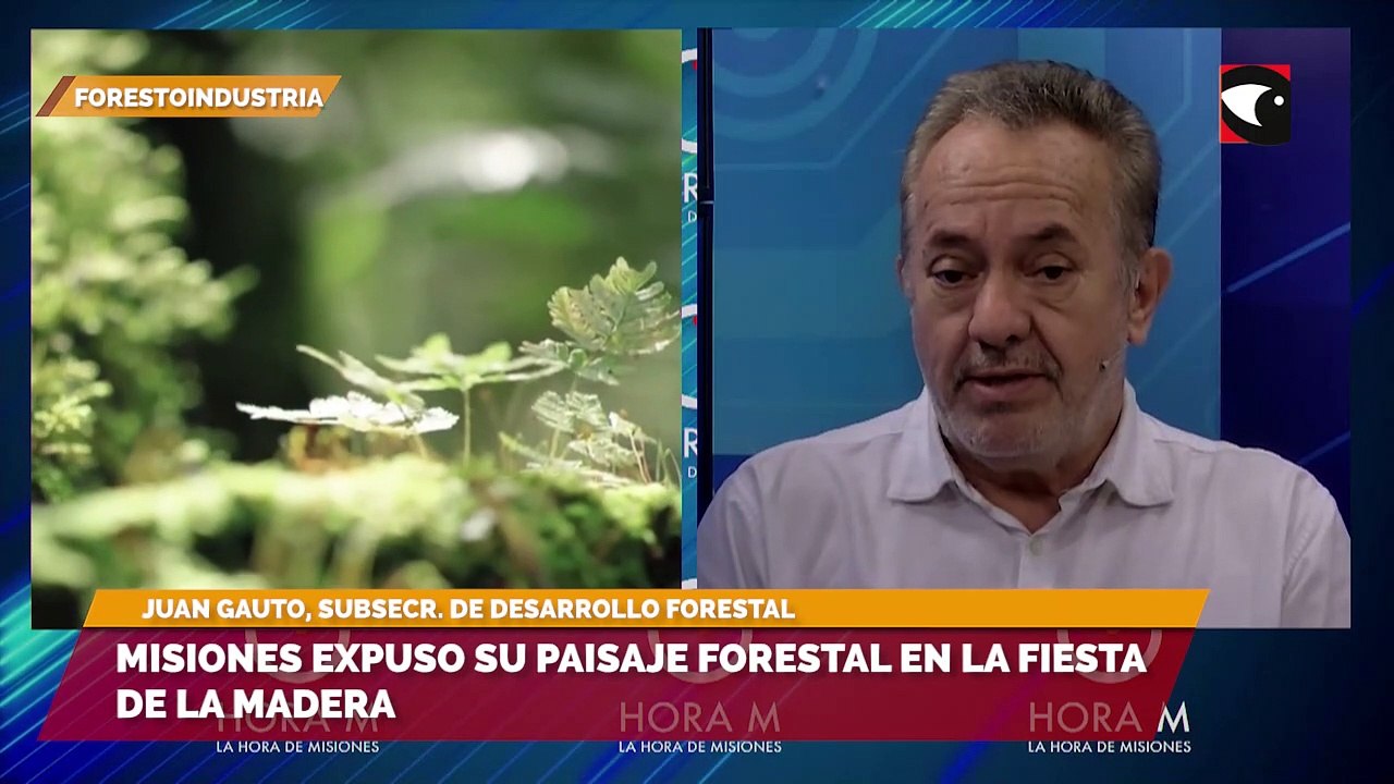 Misiones expuso su paisaje forestal en la Fiesta de la Madera