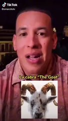 Daddy Yankee explica significado de la cabra
