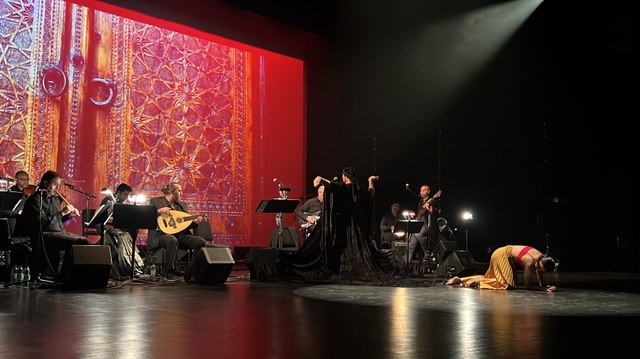 Le spectacle Harem, aux frontières de l'interdit a clôturé la 23ème édition du Festival du monde arabe de Montréal le 13 novembre