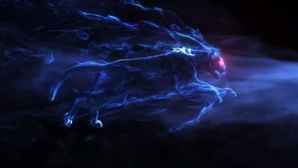 Slaouwo Smart Body Scale CS20E (Review)