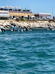 Sea Lion Enjoys a Boat Ride