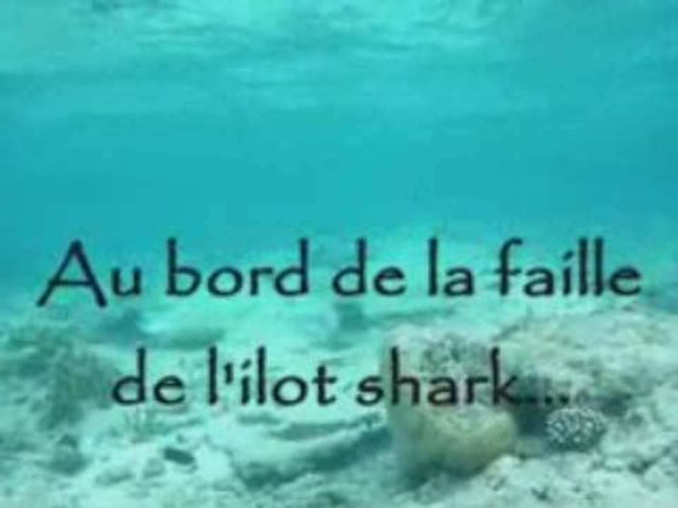 Ilot shark