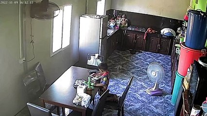 Fan in Free Fall Frightens Kid Eating Food