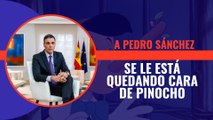 A Pedro Sánchez se le está quedando cara de Pinocho