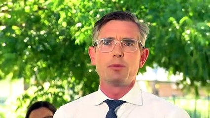 NSW government pulls forestry bill after it threatened to reignite 'koala wars' rift