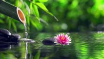 Very soothing sound Bamboo Water Fountain Healing #Musik santai dengan suara alam Air Mancur Bambu