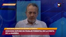 Misiones expuso su paisaje forestal en la Fiesta de la Madera