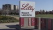 Fake Twitter Account Sparks Panic at Eli Lilly