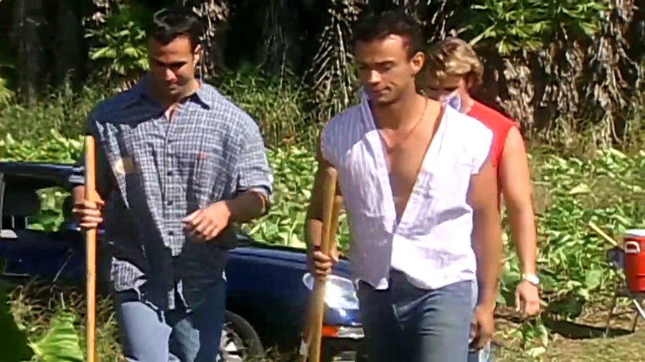 Gata Salvaje - Episodio 196