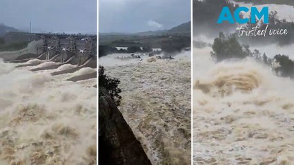 Download Video: NSW floods: Wyangala dam spills thousands of megalitres as nearby towns evacuate