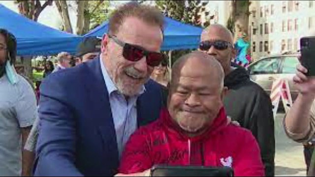 Stallone and Schwarzenegger ‘Disliked Each Other Immensely’ Due to Box Office Ri