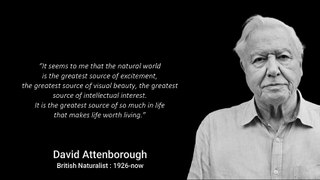 David Attenborough Quotes For All People | Motivational Quotes Hello World