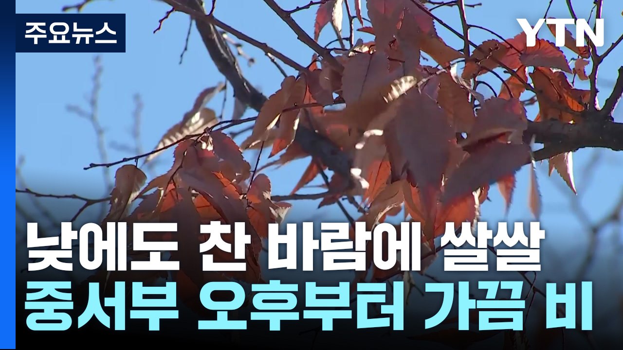 [날씨] 찬 바람 불며 종일 쌀쌀...중서부 오후부터 가끔 비 / YTN