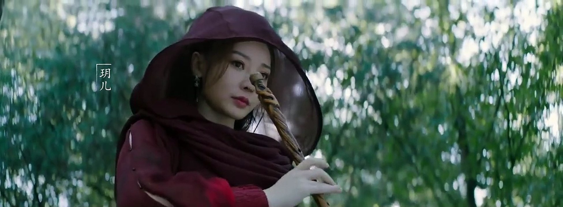 The Tai Chi Master (2022)