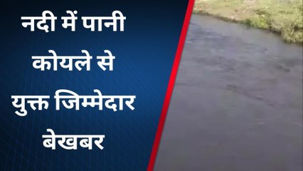 सिंगरौली:कंपनी द्वारा नदी में छोड़ा जा रहा कोयला,पानी हुआ दूषित,जिम्मेदार नहीं दे रहे ध्यान
